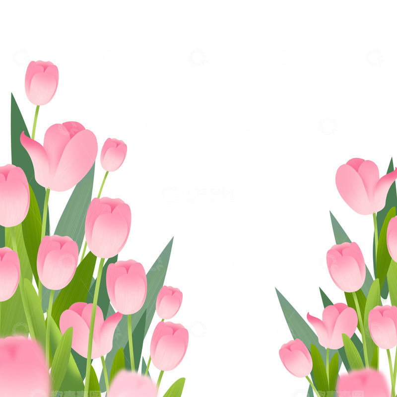 源文件下载【趣麦麦图】文艺小清新郁金香鲜花植物礼物装饰插画边框