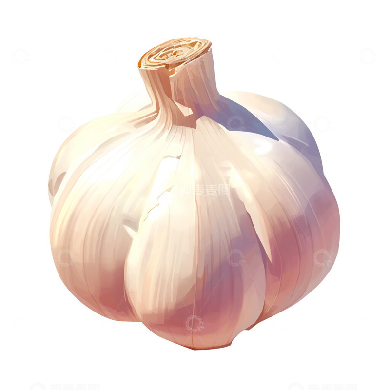 高清大图下载【趣麦麦图】大蒜蔬菜配料