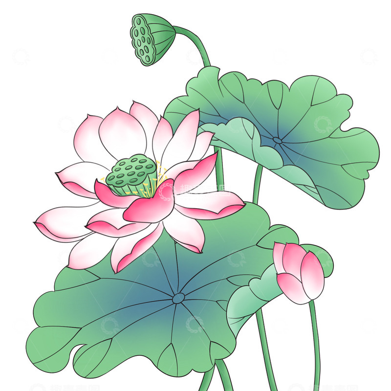 源文件下载【趣麦麦图】夏季荷花插画工笔画风元素
