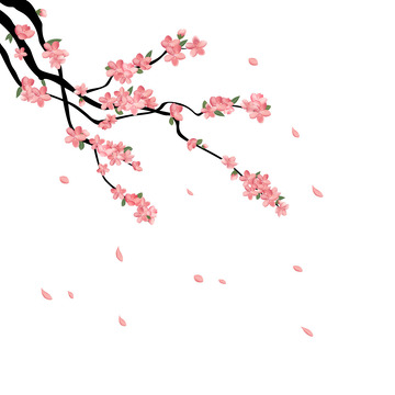 樱花桃花树枝春天