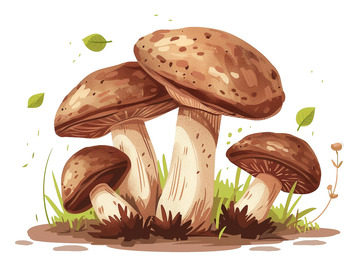 手绘香菇春天生长