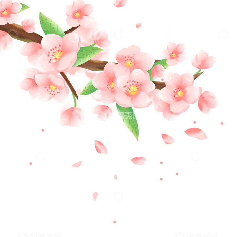 源文件下载【趣麦麦图】粉色浪漫春季樱花漂浮装饰手绘元素