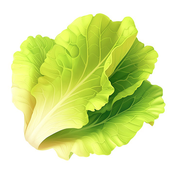 3D大白菜白菜2