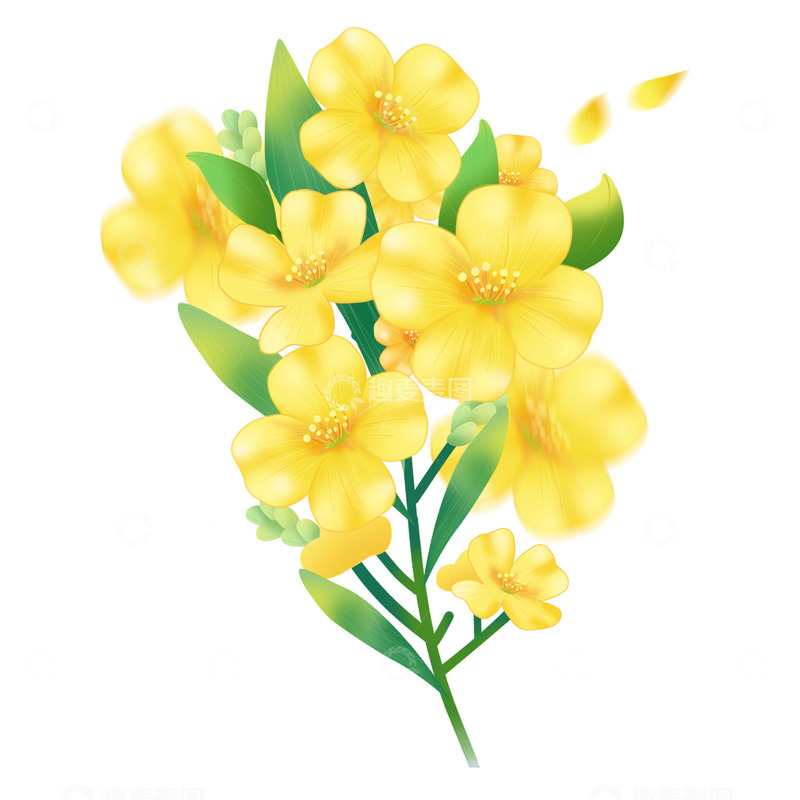 手绘文艺小清新春季油菜花植物装饰元素