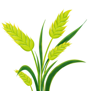 谷雨节气麦穗稻谷小麦手绘元素
