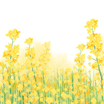 黄色小清新春季油菜花草丛植物插画背景