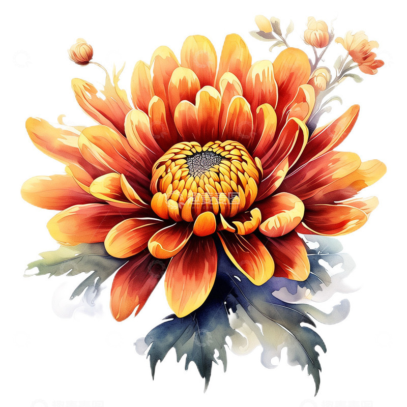 高清大图下载【趣麦麦图】菊花水墨工笔小清新4