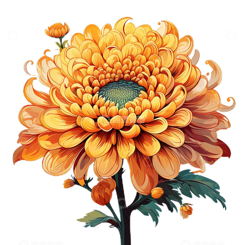 高清大图下载【趣麦麦图】菊花水墨工笔小清新6