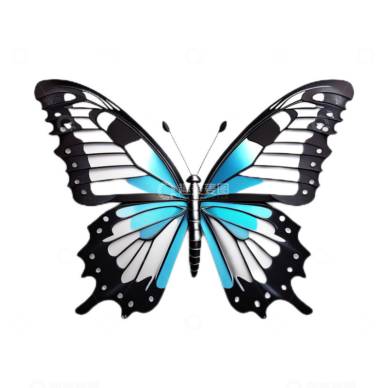 高清大图下载【趣麦麦图】蝴蝶立体正面标本3