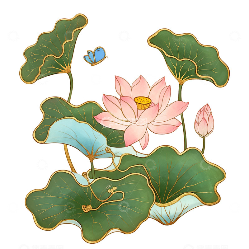 高清大图下载【趣麦麦图】荷花荷叶插画风格素材