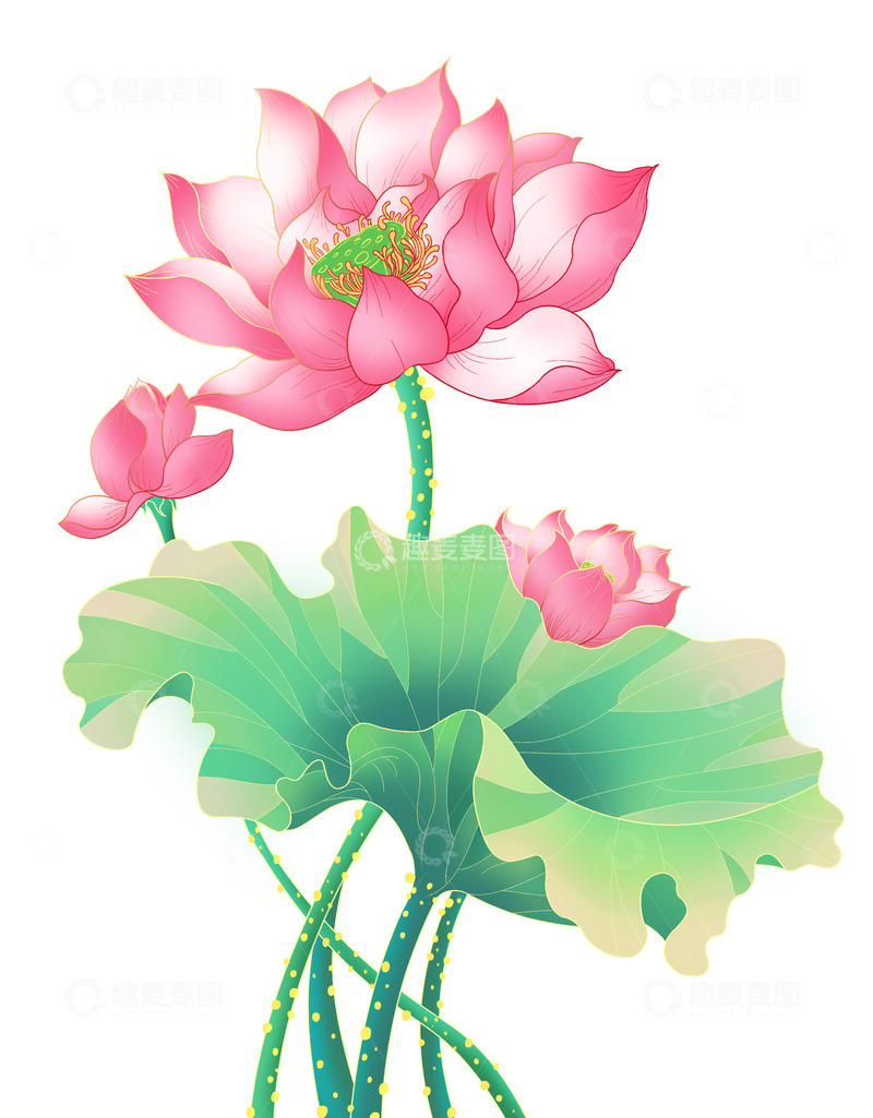 源文件下载【趣麦麦图】手绘国潮荷花荷叶元素