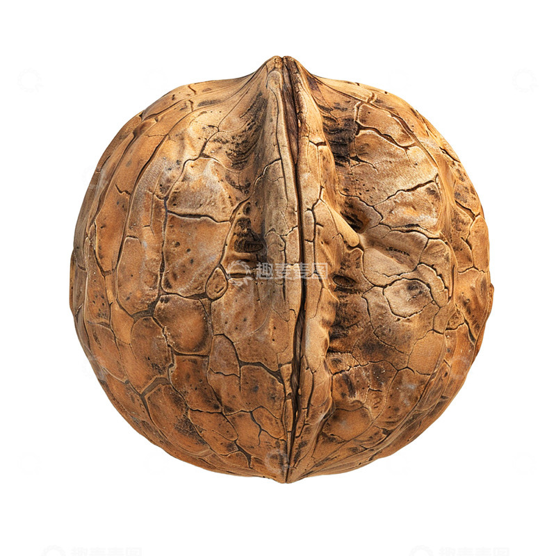 高清大图下载【趣麦麦图】坚果带壳的核桃