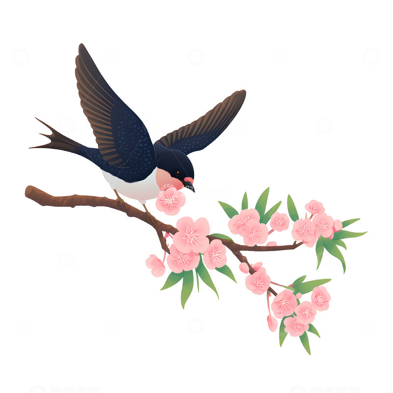高清大图下载【趣麦麦图】燕子桃花插画风格素材