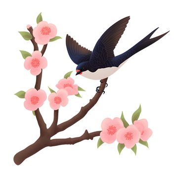 桃花燕子插画风格素材