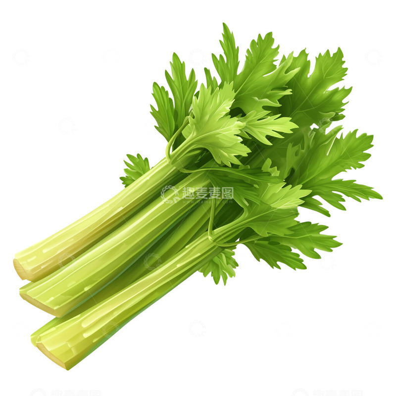 高清大图下载【趣麦麦图】-芹菜3D图标