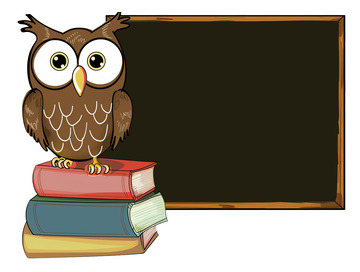 猫头鹰儿童启蒙教学黑板插画