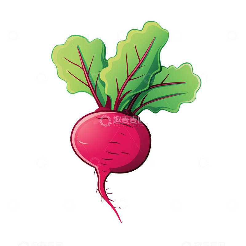 高清大图下载【趣麦麦图】卡通萝卜插画素材