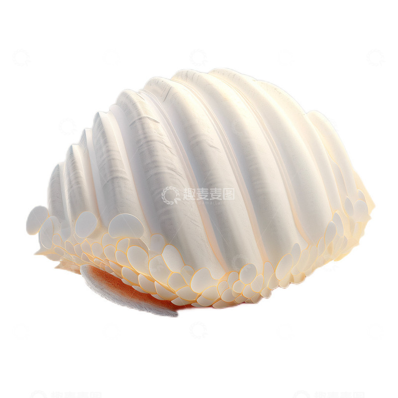 高清大图下载【趣麦麦图】3D立体卡通贝壳夏日赶海扇贝