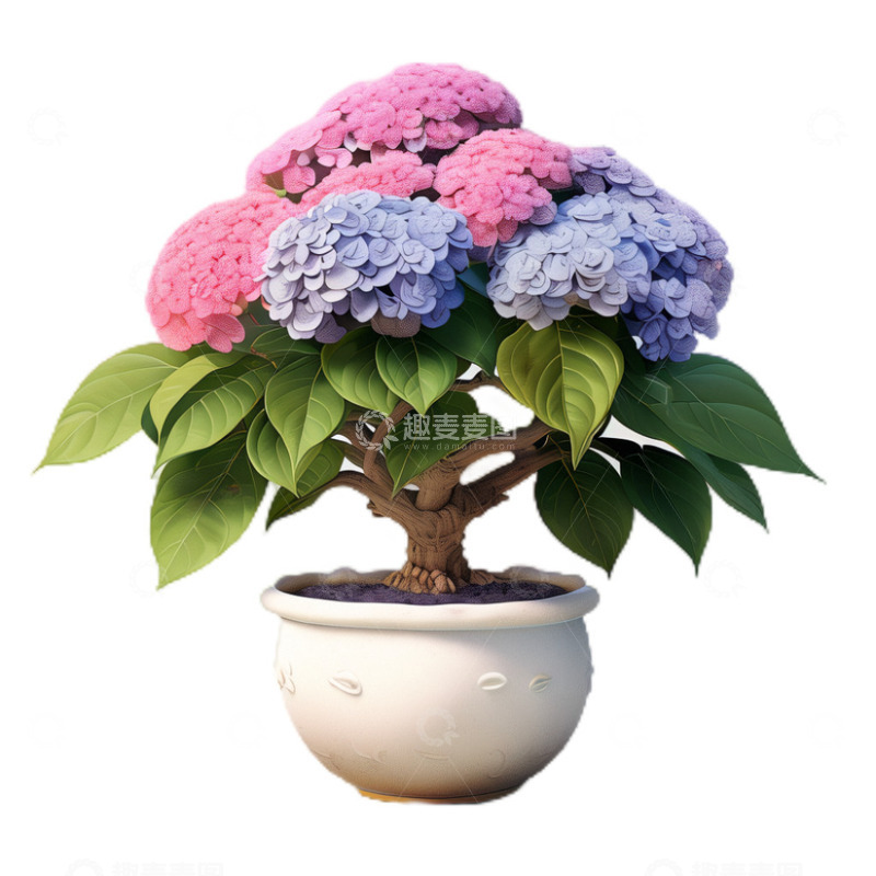 高清大图下载【趣麦麦图】3D立体卡通绣球花盆栽