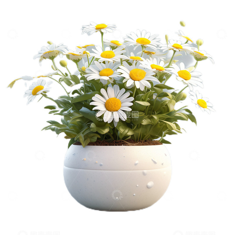高清大图下载【趣麦麦图】3D立体卡通小雏菊盆栽植物