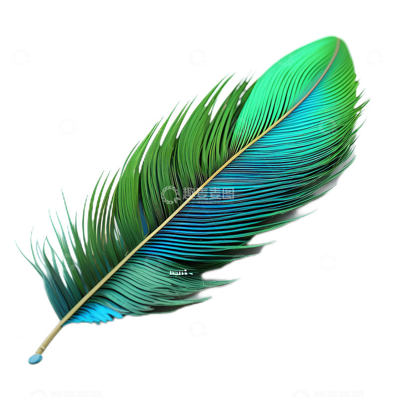高清大图下载【趣麦麦图】3D立体卡通孔雀羽毛绿色