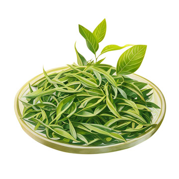 清新采摘春茶元素