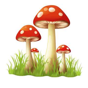 红色蘑菇生长春天元素