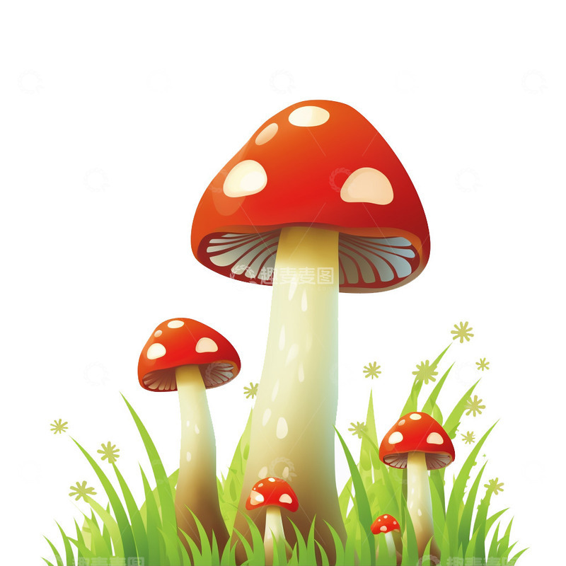 高清大图下载【趣麦麦图】蘑菇春天生长元素