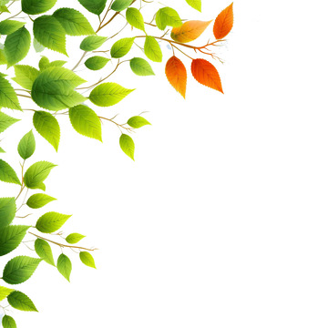 树叶植物装饰图案