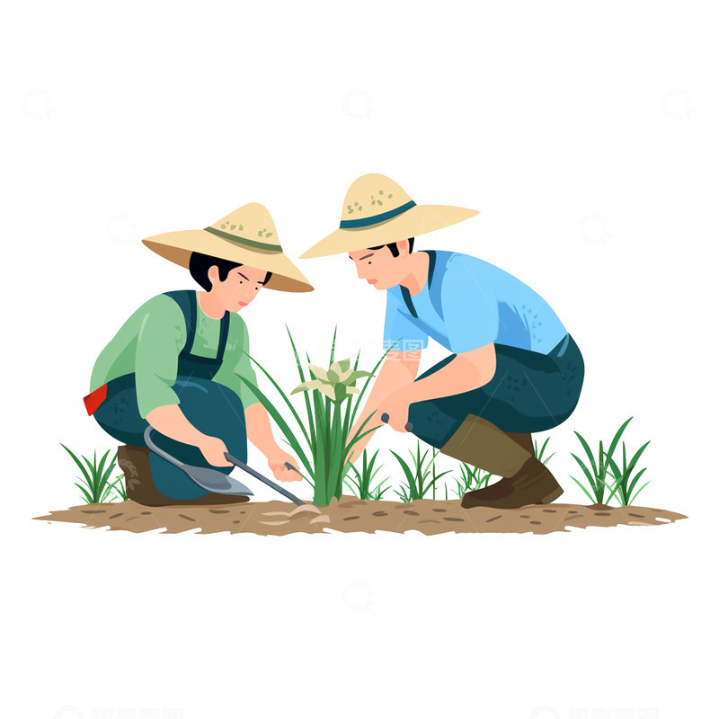高清大图下载【趣麦麦图】乡村夫妇种田插秧场景