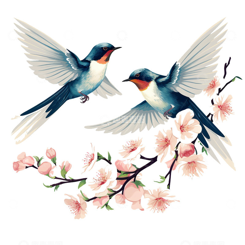 高清大图下载【趣麦麦图】樱花枝头飞鸟装饰