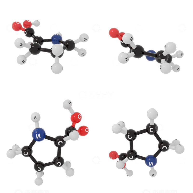 源文件下载【趣麦麦图】氨基酸多肽链构成