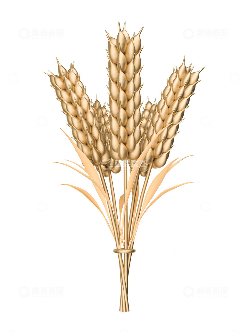 源文件下载【趣麦麦图】3D小满立体麦穗装饰