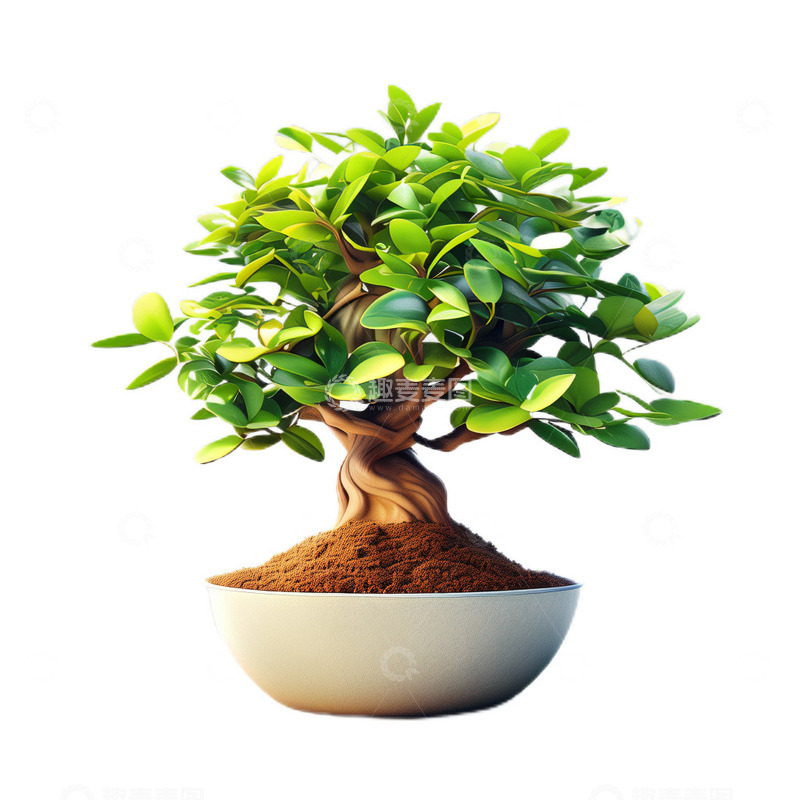 高清大图下载【趣麦麦图】3D立体真实发财树盆栽植物观赏绿色