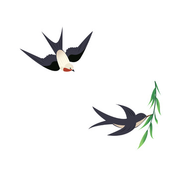 春天春季候鸟燕子柳枝