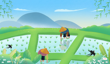 谷雨农田背景