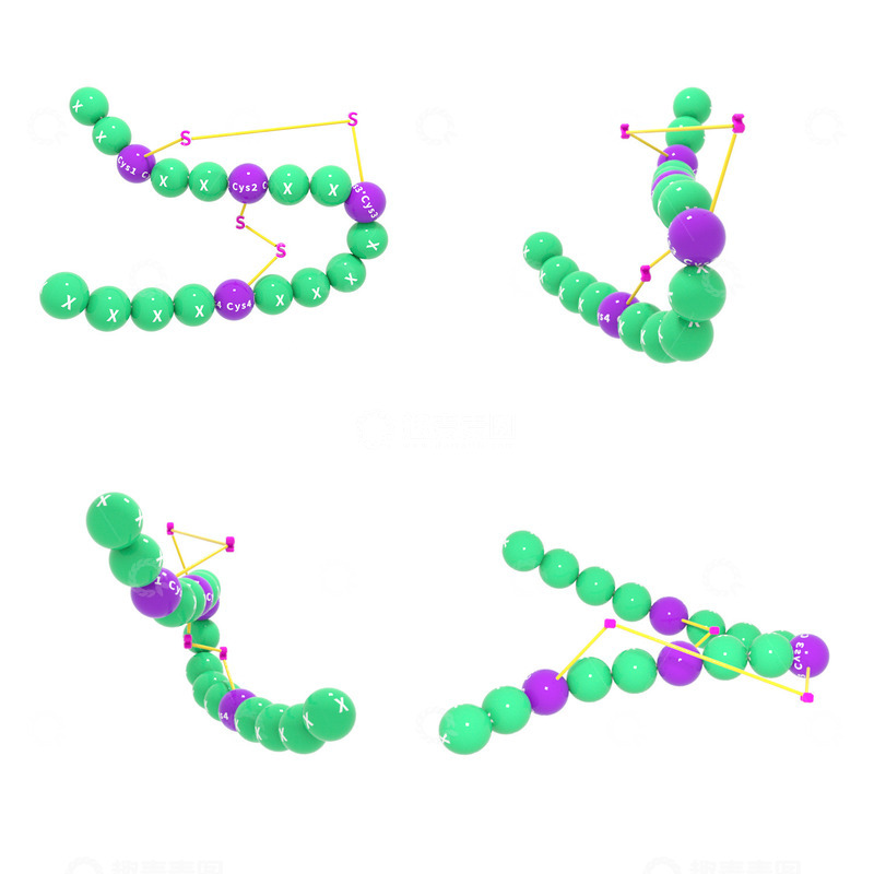 二硫键 分子 生物 技术 3D