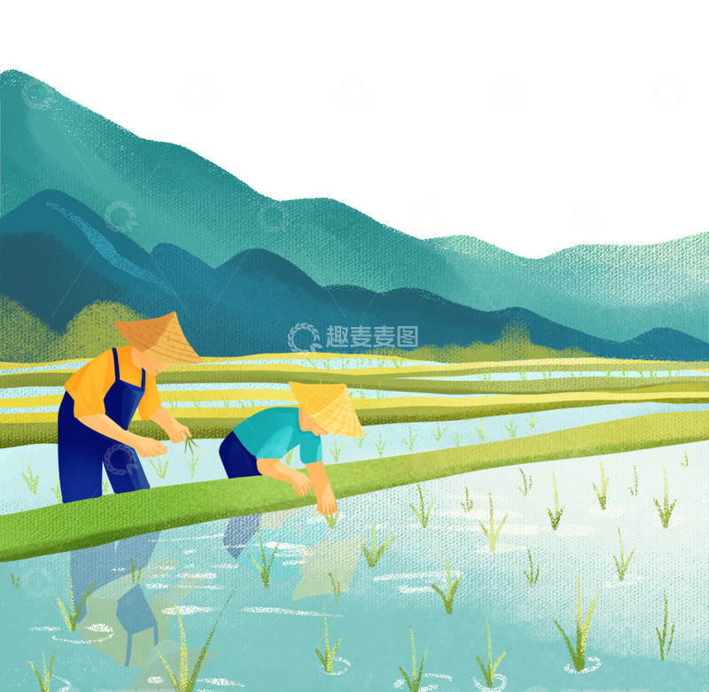 源文件下载【趣麦麦图】谷雨插秧农田