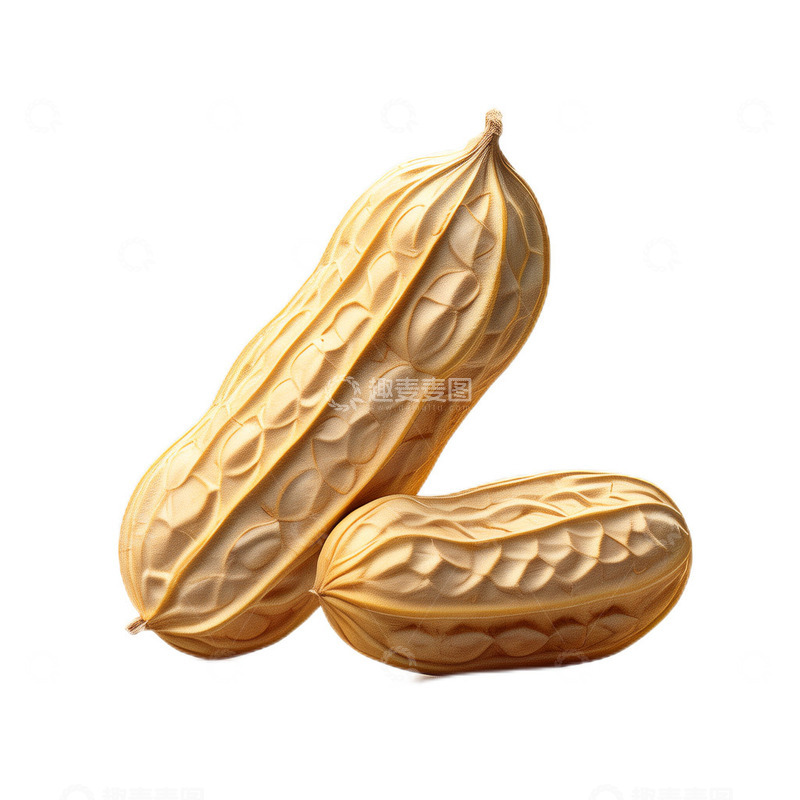 高清大图下载【趣麦麦图】3D真实立体花生果实坚果