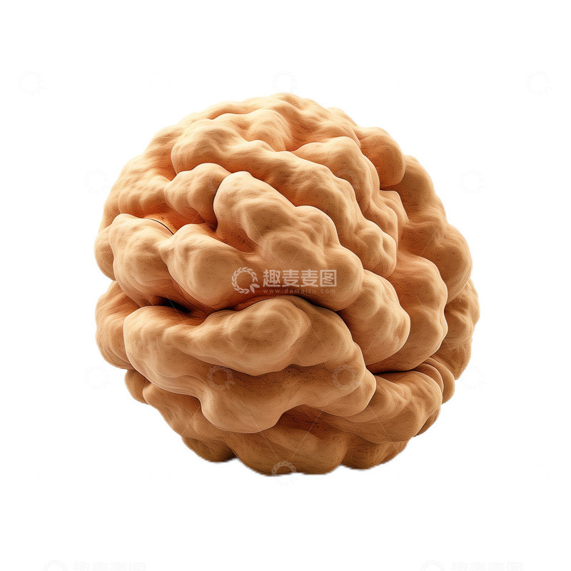 高清大图下载【趣麦麦图】3D真实立体核桃果实坚果美味