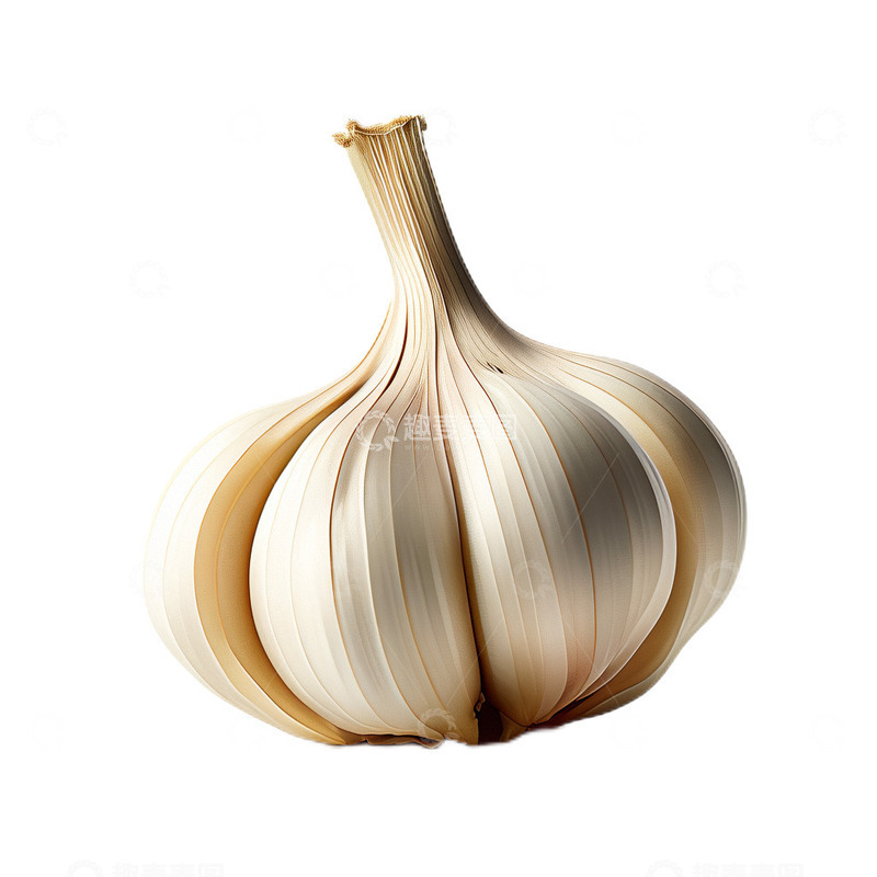 高清大图下载【趣麦麦图】3D真实立体大蒜食材调味品辛辣