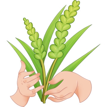 小满节气手拿麦穗设计图