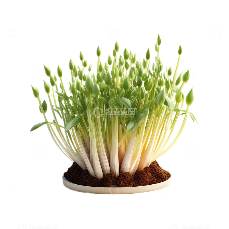 高清大图下载【趣麦麦图】3D立体卡通蒜苗新鲜食材绿色