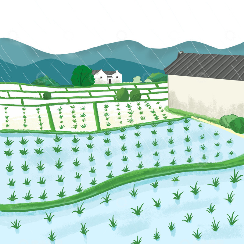 源文件下载【趣麦麦图】稻田农田耕地手绘谷雨节气庄家插秧
