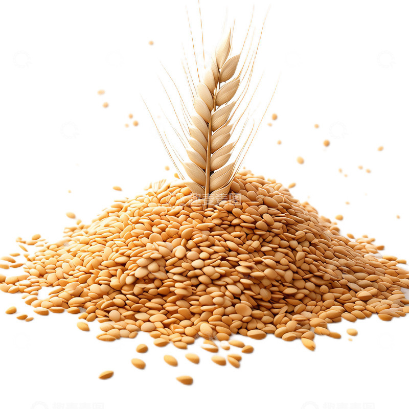 高清大图下载【趣麦麦图】3D立体卡通小麦麦穗成熟粮食
