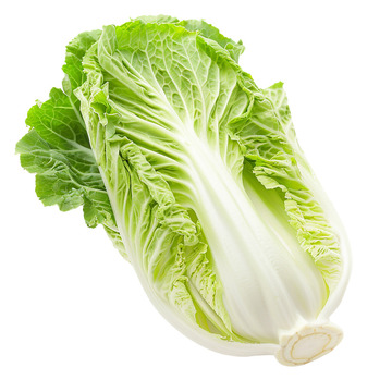 一颗大白菜照片
