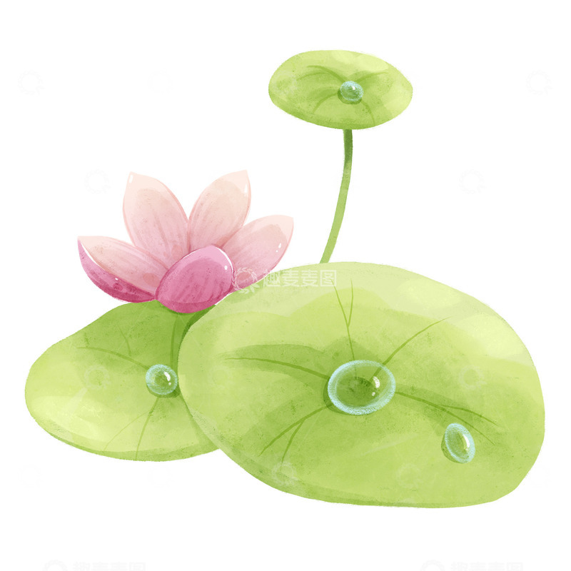 源文件下载【趣麦麦图】夏天处暑荷花露珠png图片