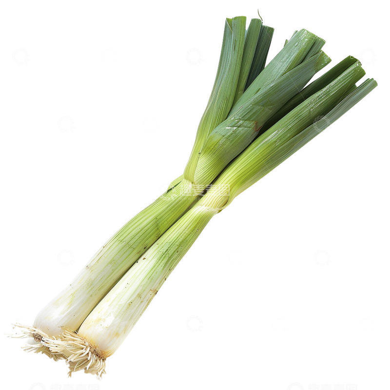 高清大图下载【趣麦麦图】大葱蔬菜葱照片2