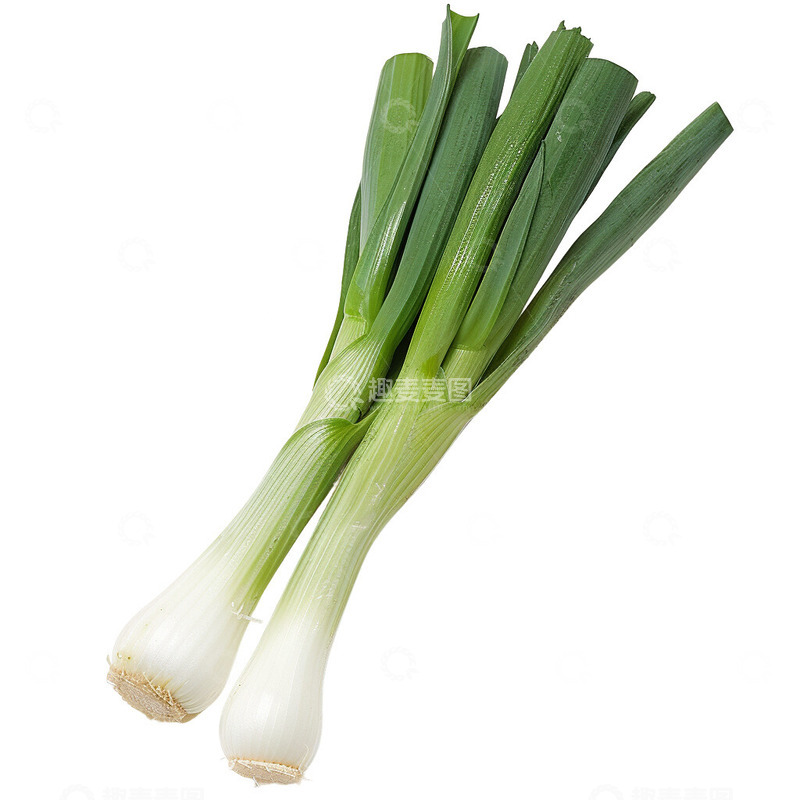 高清大图下载【趣麦麦图】大葱蔬菜葱照片