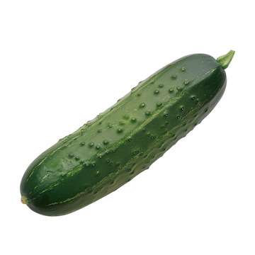 小黄瓜蔬菜植物